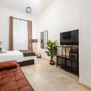  Apartamento Central Studio Apartment